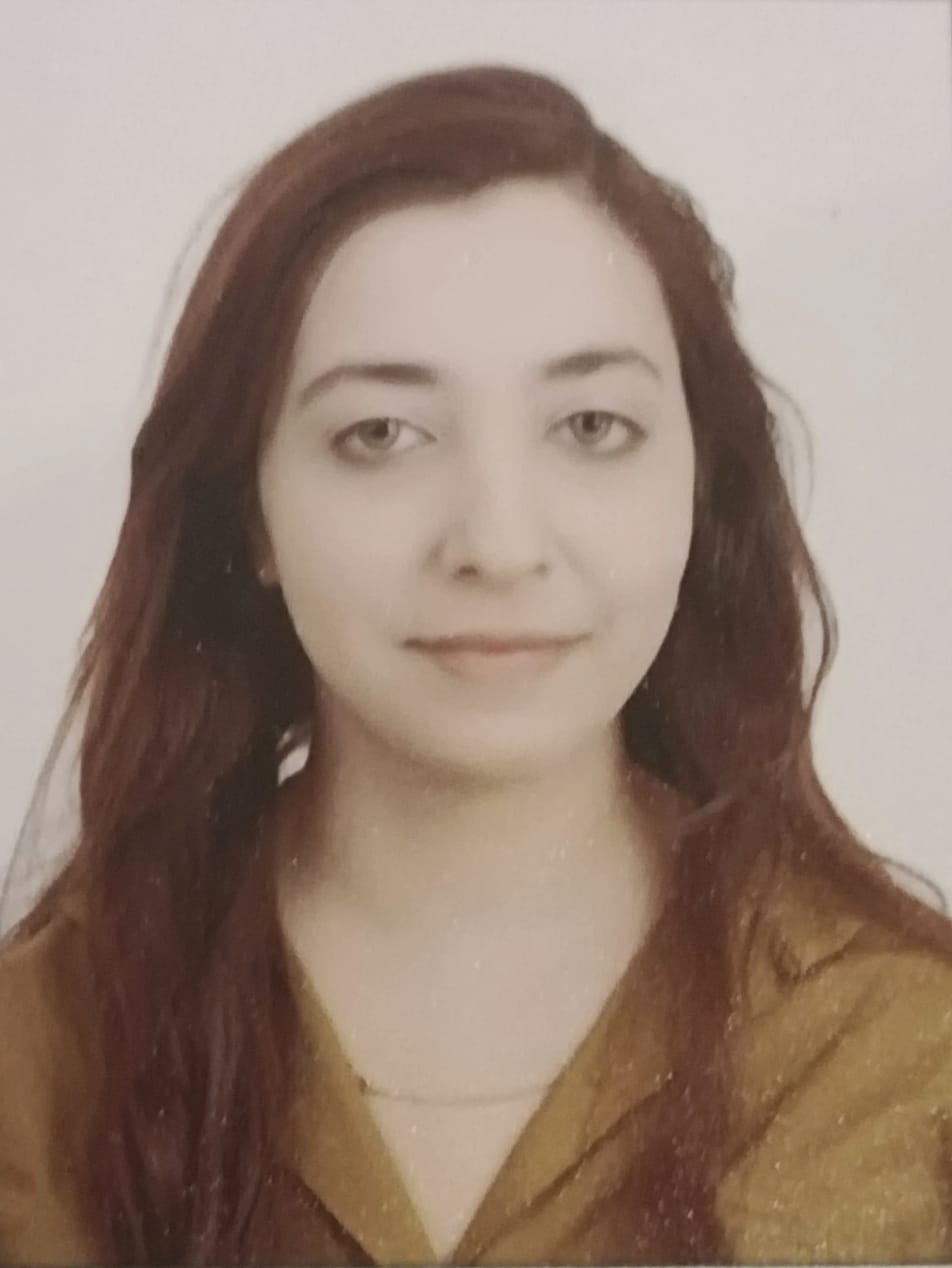Dr. Afshan Pervez